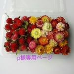 p様専用ページ