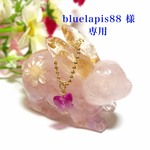 bluelapis88様専用ページです(^-^)