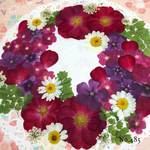 ♡new♡ 送料無料！¥1420 ♡たっぷり押し花セット♡