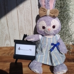 ステラルー　コスチューム