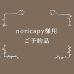 noricapy様専用購入ページ