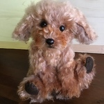 Kuuku様オーダー  トイプードルのぬいぐるみ