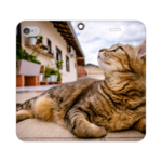 空猫 スマホケース 手帳型 帯なし