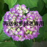 再送お手続き専用ページ