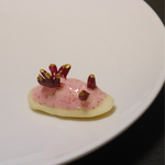 ウミウシチョコ