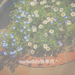 mame92o様専用ページ◡̈ ♥︎