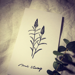 植物シリーズ
