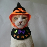 カボチャ・ハロウィンコスプレセット