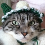 ☆ネコちゃんのぼうし☆濃いピンクWO22☆耳穴つき☆ホワイトフリル☆帽子☆ねこ☆