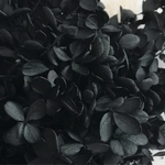 特価　【再販30】 黒 ソフトピラミッド あじさい 