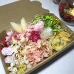 花材セット11 ドライフラワー  ハーバリウム花材