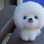 モコモコ　ビションフリーゼちゃん♪