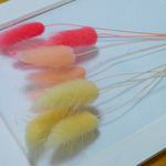 ラグラス♡3色セット