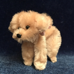 モールアート　犬　トイプードル　モカ