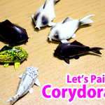 【2体セット】Let's Paint ! Corydoras.