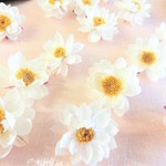 花かんざしヘッド(大）15個　ハーバリウム、アロマワックス、スワッグ、ボタニカルキャンドル他花材