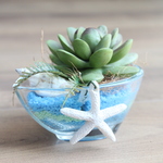 ＳＡＬＥ！ 多肉植物のサマーアレンジ（Green）
