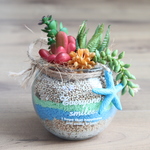 ＳＡＬＥ！ 多肉植物のサマーアレンジ（ポット）