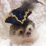 <再販>ハロウィンに♡海賊帽(ネイビー)