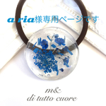 Aria様専用ページです