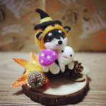 ハロウィンかぶりもの柴犬