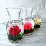 ミニデカンタの薔薇ジェルアクアテラリウム(レッド)