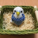 solさま♡専用ページ: セキセイインコちゃん（白ブルー）