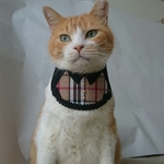 タータンチェックシャツ・コスプレ