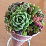 暑い夏には多肉植物アイス