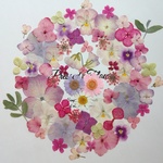 【一点物】押し花素材♡♥natural sweet pink♡♥リース風押し花　no.664