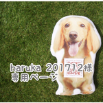 haruka201712様専用ページ
