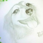 ミニチュアダックス製作中～お試し価格色紙鉛筆✏うちの子似顔絵オーダー受付中🎵