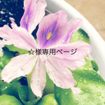 ☆様専用ページ