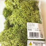 アイスランド🇮🇸モス（メイグリーン）40g