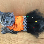 ハロウィンワンピース４
