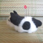 おかめ猫針治療中