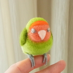 ふくふく おねむな手乗りインコ（コザクラインコ・ノーマル）