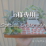 n様オーダー専用
