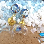 イルカと小さな星空の海/シェル/蓄光/ピアス＆イヤリング・イヤーカフ