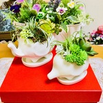 再販😊ボタニカル🌿象さん親子🐘💕