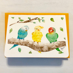 🐤透明水彩画　2枚セット「仲良しインコたち」イラストミニカード　鳥　バースデーカード　サンキューカード　メッセージカード🐤