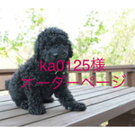羊毛フェルト ハンドメイド   ka0125様 オーダーページ