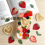 alice04様専用ページ