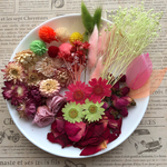 ドライフラワー 花材セット