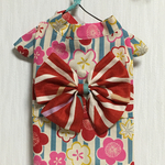 ❨翠玉様専用❩🌟大正ロマン👘ハイカラなわんこ浴衣🌟：（犬服）