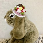 【新作】苺ケーキの帽子