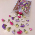 スターチス ５色  MIX ❁