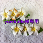 yurikallc様専用ページ(2個セット)