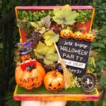 🤣❤️‼️  HALLOWEEN 🎃  🌿🌼🌷🌻 ❤️😉❤️ ガーデン 😉ミニチュア   ドールハウス  家具 部屋 カフェ 庭 ガーデニング  アンティーク ハロウ