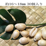 カウリーシェルM